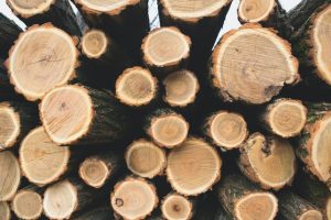 rondin de bois pas cher