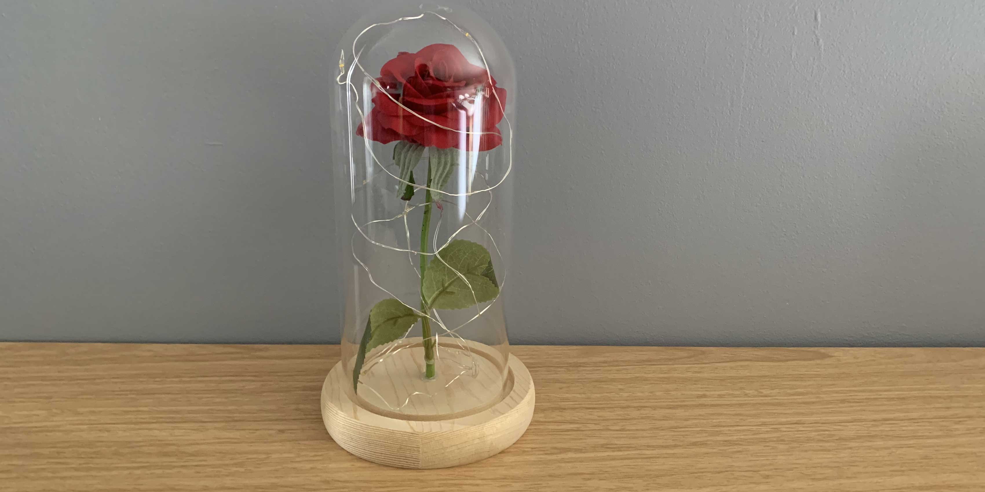 Rose éternelle sous cloche DIY - Locadeco