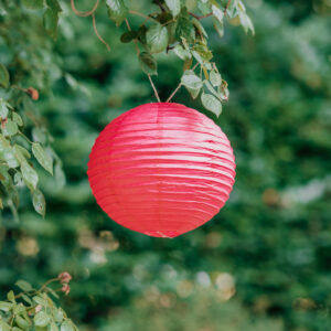Lampion en papier Rose 30 cm