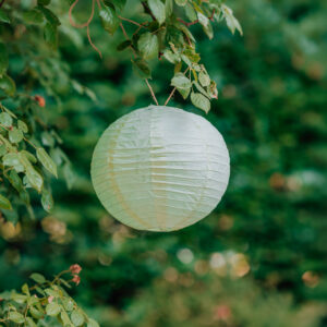 Lampion en papier Vert 30 cm