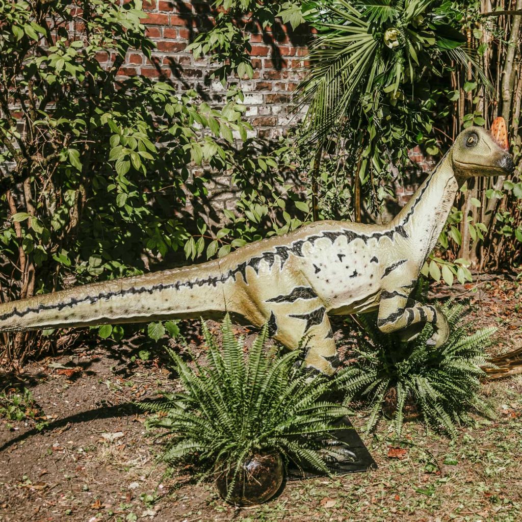 Location dinosaure géant