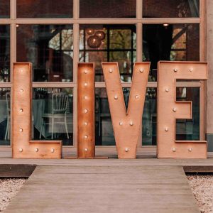 Lettres Lumineuses " LIVE "