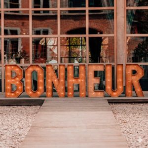 Lettres Lumineuses " BONHEUR "
