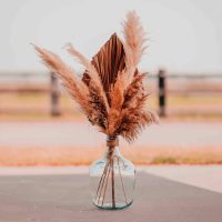 deco-mariage-pampa-lille.jpg deco-mariage-pampa-lille.jpg