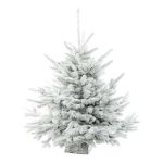 sapin-de-noel-enneige